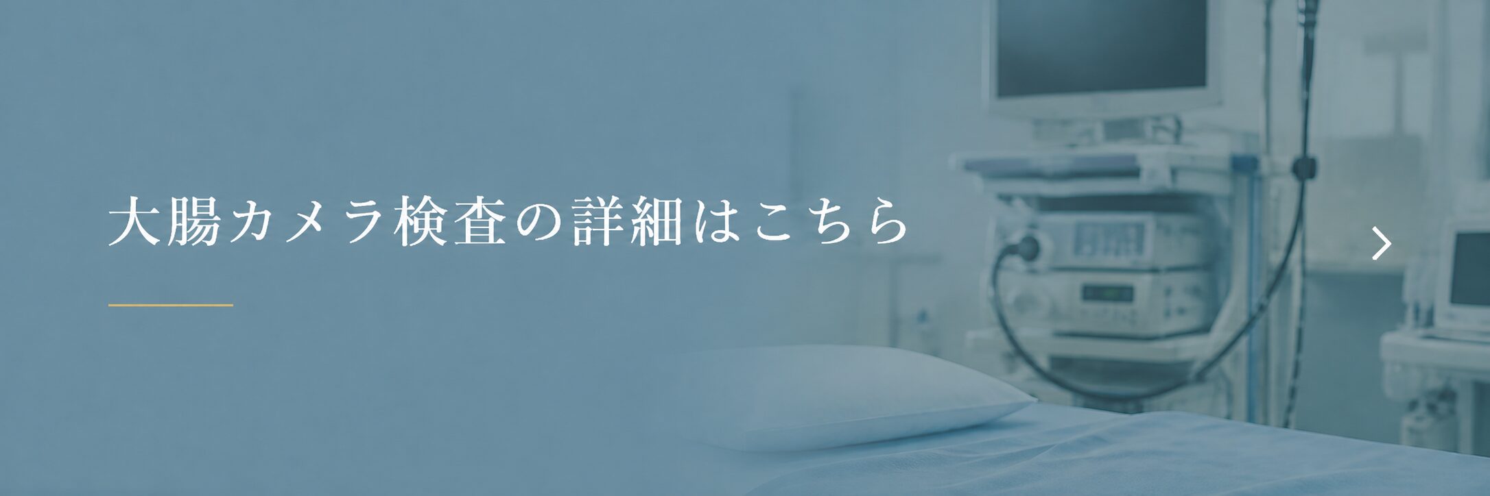 大腸カメラ検査の詳細はこちら